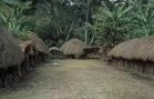 印尼叢林土著村落